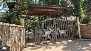 Kisumu Impala Sanctuary Tour