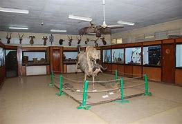Kisumu Museum & City Tour