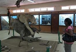 Kisumu Museum & City Tour
