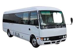 Rosa Minibus